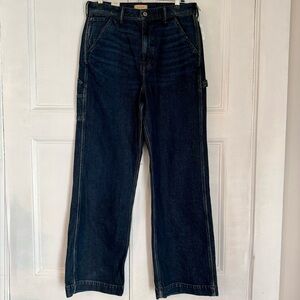 AE77 American Eagle Premium Stovepipe Carpenter Jeans - Size 12